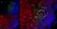 Anti Mouse CD19 Antibody, clone 6D5 thumbnail image 61