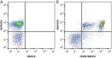 Anti Mouse CD19 Antibody, clone 6D5 gallery image 65