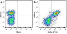 Anti Mouse CD19 Antibody, clone 6D5 gallery image 67