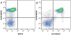 Anti Mouse CD19 Antibody, clone 6D5 gallery image 68