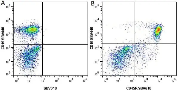 Anti Mouse CD19 Antibody, clone 6D5 gallery image 69