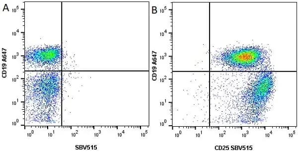 Anti Mouse CD19 Antibody, clone 6D5 gallery image 71