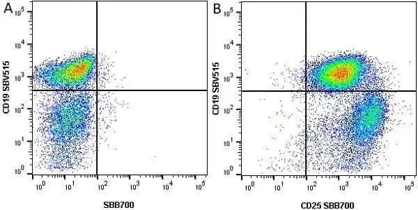Anti Mouse CD19 Antibody, clone 6D5 gallery image 72