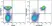 Anti Mouse CD19 Antibody, clone 6D5 thumbnail image 77
