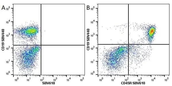 Anti Mouse CD19 Antibody, clone 6D5 gallery image 79