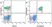 Anti Mouse CD19 Antibody, clone 6D5 thumbnail image 8