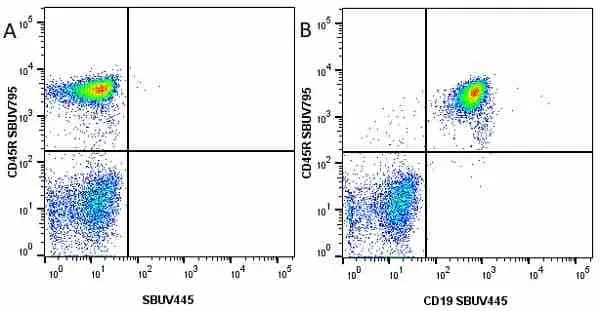 Anti Mouse CD19 Antibody, clone 6D5 gallery image 8