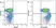 Anti Mouse CD19 Antibody, clone 6D5 thumbnail image 81