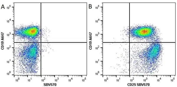 Anti Mouse CD19 Antibody, clone 6D5 gallery image 81
