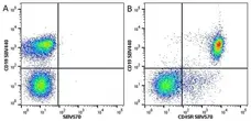 Anti Mouse CD19 Antibody, clone 6D5 gallery image 83