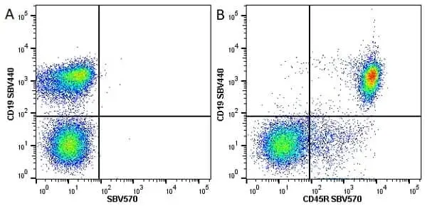 Anti Mouse CD19 Antibody, clone 6D5 gallery image 83