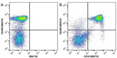 Anti Mouse CD19 Antibody, clone 6D5 gallery image 86