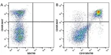 Anti Mouse CD19 Antibody, clone 6D5 gallery image 87