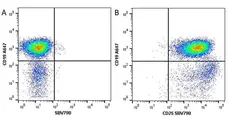 Anti Mouse CD19 Antibody, clone 6D5 gallery image 88