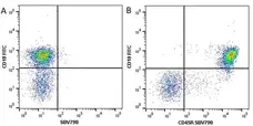 Anti Mouse CD19 Antibody, clone 6D5 gallery image 89