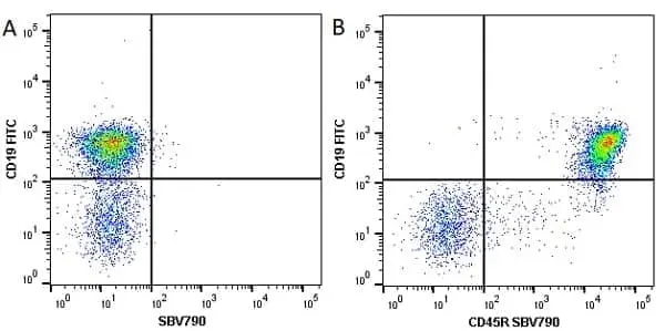 Anti Mouse CD19 Antibody, clone 6D5 gallery image 89