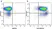 Anti Mouse CD19 Antibody, clone 6D5 thumbnail image 9