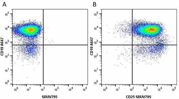 Anti Mouse CD19 Antibody, clone 6D5 gallery image 9