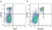 Anti Mouse CD19 Antibody, clone 6D5 thumbnail image 90