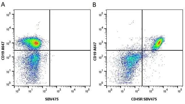 Anti Mouse CD19 Antibody, clone 6D5 gallery image 91