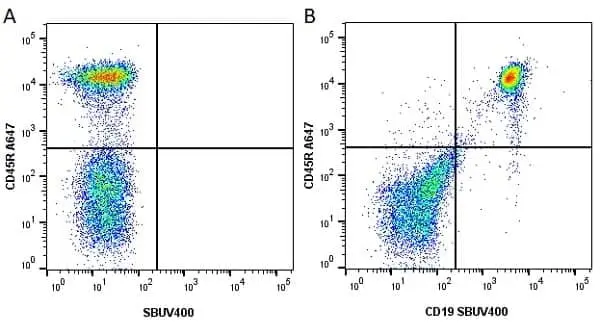 Anti Mouse CD19 Antibody, clone 6D5 gallery image 93