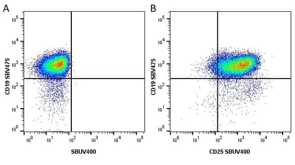 Anti Mouse CD19 Antibody, clone 6D5 gallery image 95