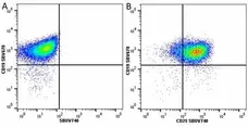 Anti Mouse CD19 Antibody, clone 6D5 gallery image 97