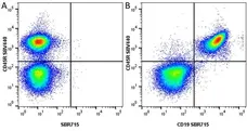 Anti Mouse CD19 Antibody, clone 6D5 gallery image 98