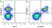 Anti Mouse CD19 Antibody, clone 6D5 thumbnail image 98