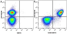 Anti Mouse CD19 Antibody, clone 6D5 gallery image 99
