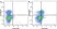 Anti Mouse CD197 Antibody, clone 4B12 thumbnail image 1