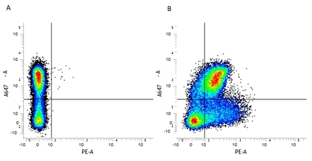 Anti Mouse CD200 Antibody, clone OX-90 | Bio-Rad