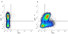 Anti Mouse CD200 Antibody, clone OX-90 gallery image 5
