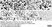 Anti Mouse CD204 Antibody, clone 2F8 thumbnail image 13
