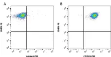 Anti Mouse CD204 Antibody, clone 2F8 gallery image 2