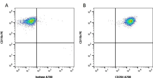 Anti Mouse CD204 Antibody, clone 2F8 gallery image 2