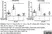 Anti Mouse CD204 Antibody, clone 2F8 thumbnail image 4