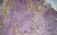 Anti Mouse CD204 Antibody, clone 2F8 thumbnail image 6
