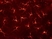 Anti Mouse CD205 Antibody, clone NLDC-145 thumbnail image 2