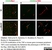 Anti Mouse CD206 Antibody, clone MR5D3 thumbnail image 12