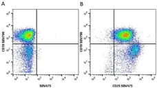Anti Mouse CD25 Antibody, clone PC61.5.3 gallery image 12