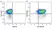 Anti Mouse CD25 Antibody, clone PC61.5.3 thumbnail image 13