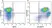 Anti Mouse CD25 Antibody, clone PC61.5.3 thumbnail image 22