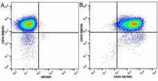Anti Mouse CD25 Antibody, clone PC61.5.3 gallery image 24