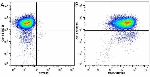 Anti Mouse CD25 Antibody, clone PC61.5.3 gallery image 24