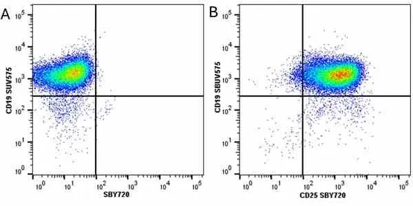 Anti Mouse CD25 Antibody, clone PC61.5.3 gallery image 26