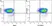 Anti Mouse CD25 Antibody, clone PC61.5.3 thumbnail image 32