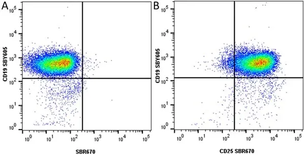 Anti Mouse CD25 Antibody, clone PC61.5.3 gallery image 32