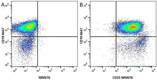 Anti Mouse CD25 Antibody, clone PC61.5.3 gallery image 7