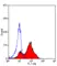 Anti Mouse CD26 Antibody, clone H207-1082 thumbnail image 1